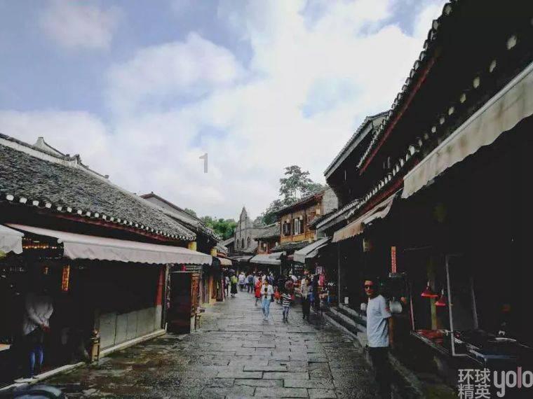 《探索知识星球平台,蒿稀绿茶夏天喝能将三高吗?带您自由飞翔》